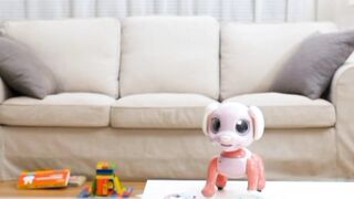 Amazone Funny toys and funny kids My good doghter loved this