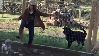 Amazing funny failed ???????? viral funny