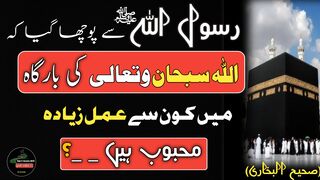 Allah Pak Ki Bargha Me Kon Se Amal Sab Se Zeyada mehboB Hai?|Rasool Allah (SAW)Hadees nabvi|Rahe islamic box