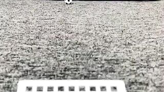 Unbelievable Ufff My gOd | Respect about this actions| #viral