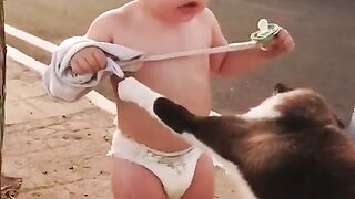 Solte gato ????????