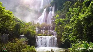 Natural beauty