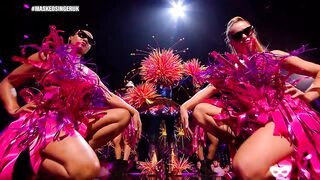 Firework Performs