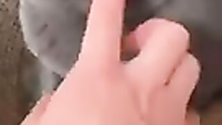 Cute cat traning