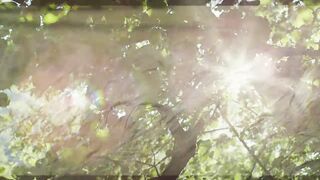 1-Minute Nature Background Sound