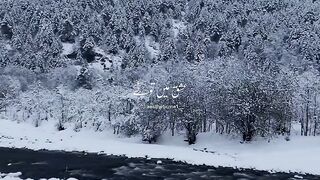 Nice video