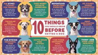 10 Things You Should Know Before Getting a Dog