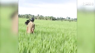 Full Video Xem Clip đánh Ghen Bắt Tại Trận Nhất Hôm Nay