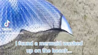 I found a mermaid washed up on the beach.. what do I do__ #realmermaid
