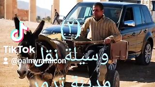 وسيلة نقل مدينة تدمر