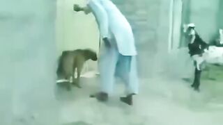 Funny video is dog and baba