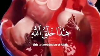 Islami