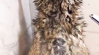Bath routine for the best boy