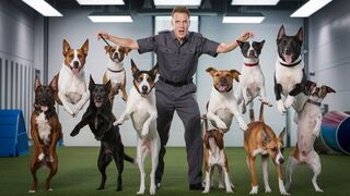 Unbelievable! The Ultimate Dog Training Experience!
