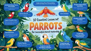 10 Lessons About Parrots You Need To Learn To Succeed