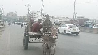 Sheher karachi