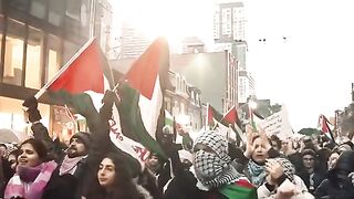 Free free Palestine ✌️