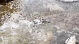 Cooking Trout Fish