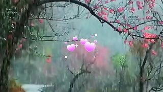status,status video,status song,status whatsap,beast song,good song,video