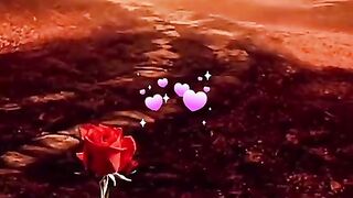 status,status video,status song,status whatsap,beast song,good song,video,songs