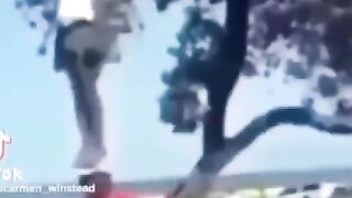 Random funny videos