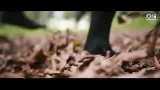 Avakaya Anjaneya - HanuMan(Hindi) - Prasanth Varma - Teja Sajja, Amritha - Anudeep, Sunidhi Chauhan
