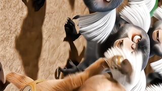 Funny video