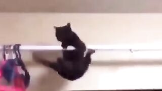 I'm not a ninja xD