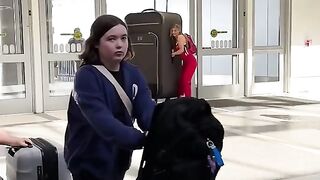 动物疯狂