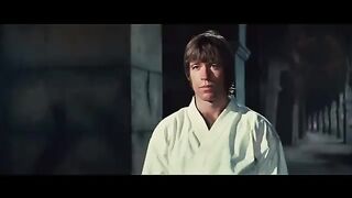 Bruce Lee vs Chuck Norris