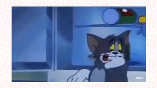 Tom Jerry Urdu | Tom & Jerry In Hindi