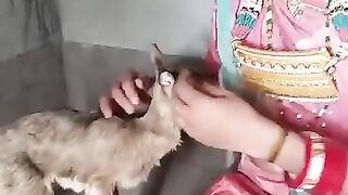 Animals lovers