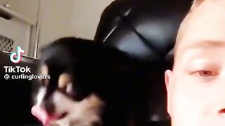 Funny  dog