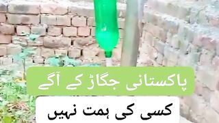 Talent in Pakistanis