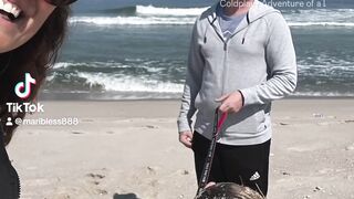 Coconut at the Island beach state park ,NJ!#coconut #islandbeaxhstatepark #nj #goldador #puppylife