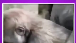 VID-20231204-WA0001.