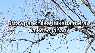 Old song