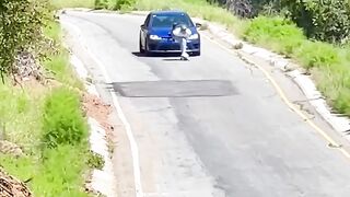 Going to be some gnarly road rash!