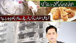 فارمی مرغی حلال ہے یا حرام ہے