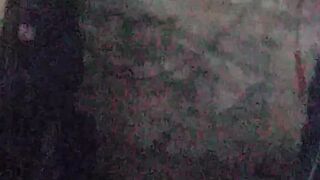 TWO DOG