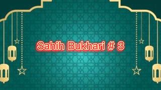 Sahih Bukhari # 3