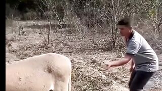 Comedy