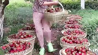 فواكه فقط نشاهدها في الصور