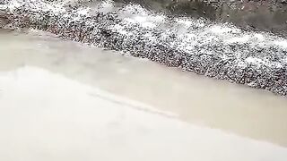 Proses pengapuran kolam tanah setelah pengangkatan lumpur
