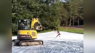 Video with a very surprising scene for all of us