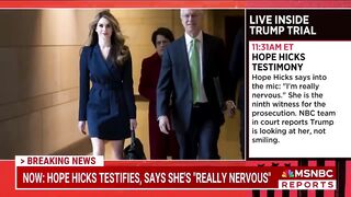 Hope Hicks, a Former Trump Adviser, Testifies in a Hush Money Prosecution