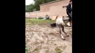 Compilation ???????????? de moments drôles de l’année!