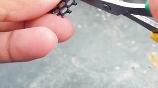 Amazing video