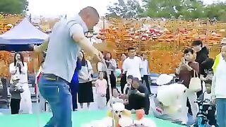 China comedy