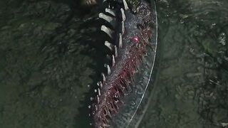 Devil Sword Sparda & V Special Requests